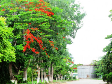 VĂN PHÒNG ĐẠI DIỆN THÀNH PHỐ HỒ CHÍ MINH