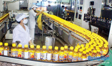 Công ty CP Đường Quảng Ngãi: Vẫn vững lá cờ đầu