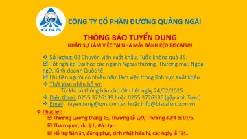 QNS tuyển dụng 02 chuyên viên xuất khẩu làm việc tại Nhà máy Bánh kẹo Biscafun